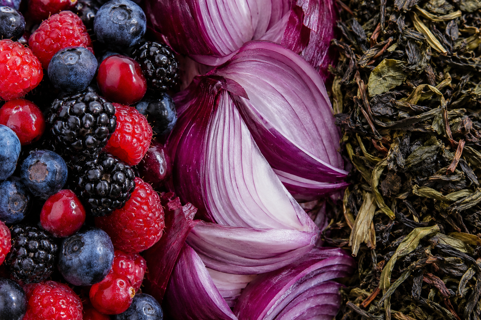 Illustration for the section: Polyphenols: A Large Family, Not a Single Active Ingredient