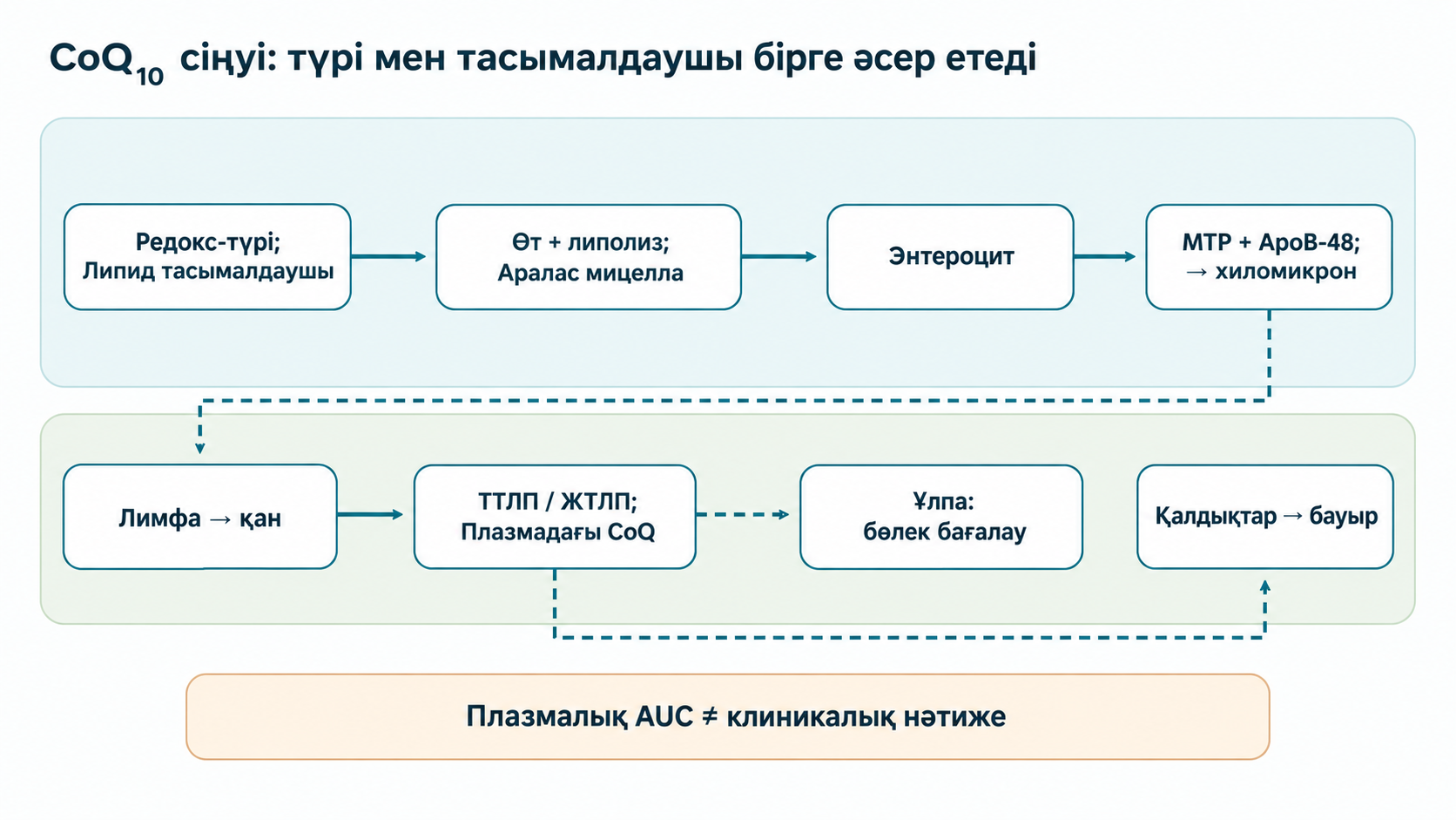 Ауыз арқылы CoQ сіңуі түрі мен липид матрицасына тәуелді: мицелладан энтероцит, хиломикрон және лимфаға, кейін липопротеин, бауыр қалдықтары және ұлпаға таралады. Плазмалық AUC клиникалық нәтиже емес.