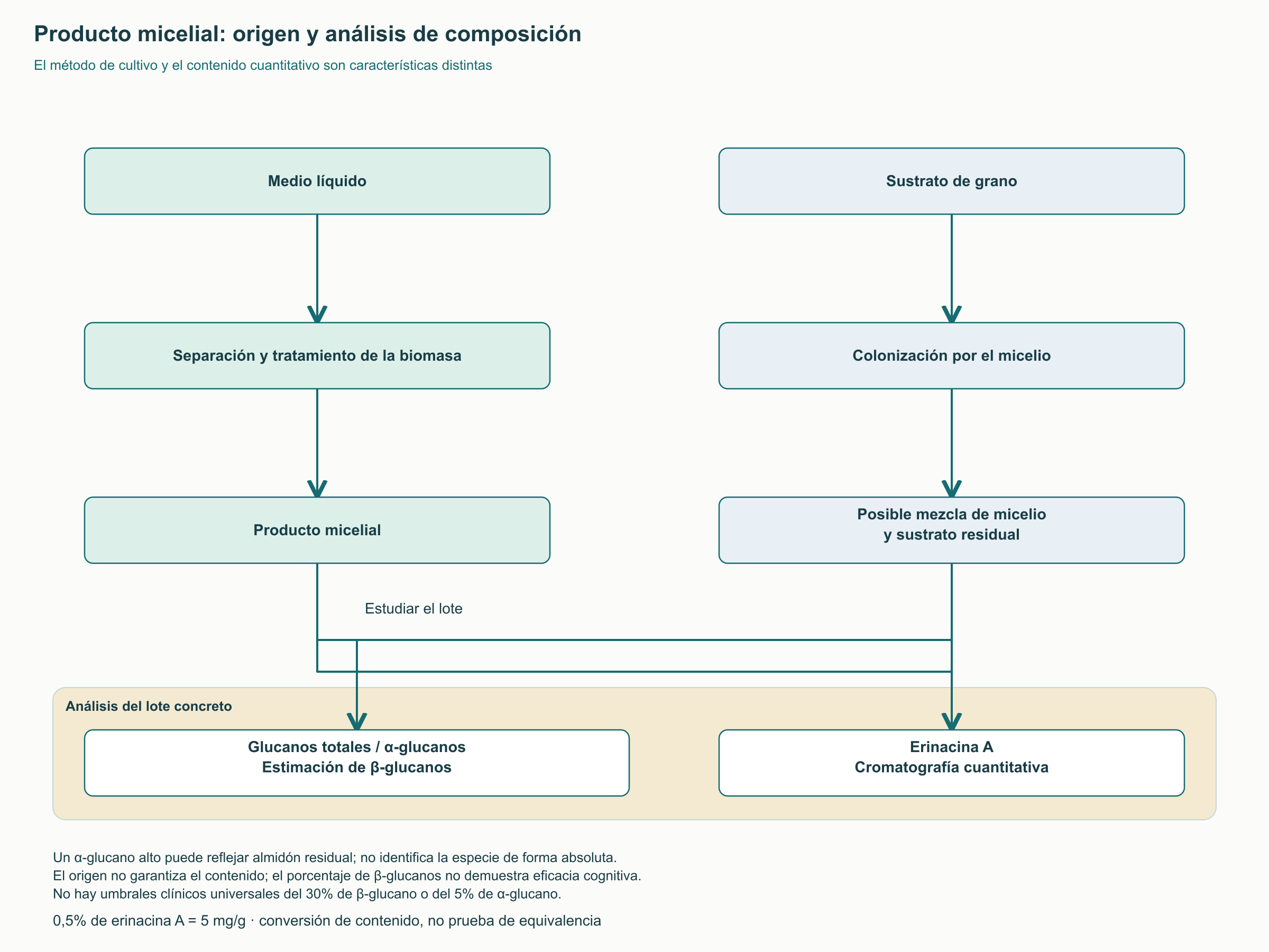 Producto micelial: origen y análisis de composición