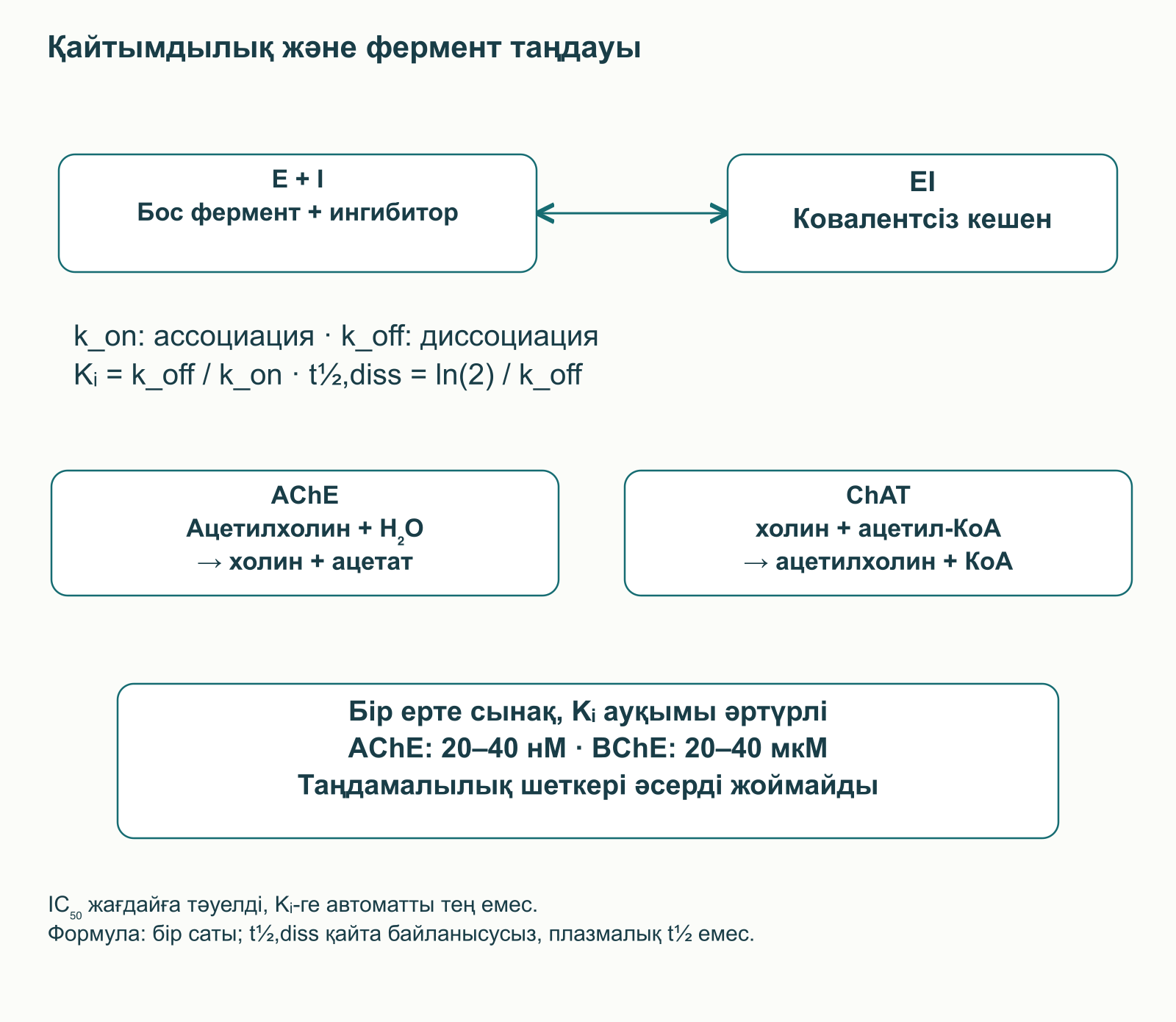 Қайтымды E + I ⇌ EI кешені, байланысу мен диссоциация тұрақтылары, AChE гидролизі және ChAT арқылы ацетилхолин синтезі; концентрациялар доза емес.