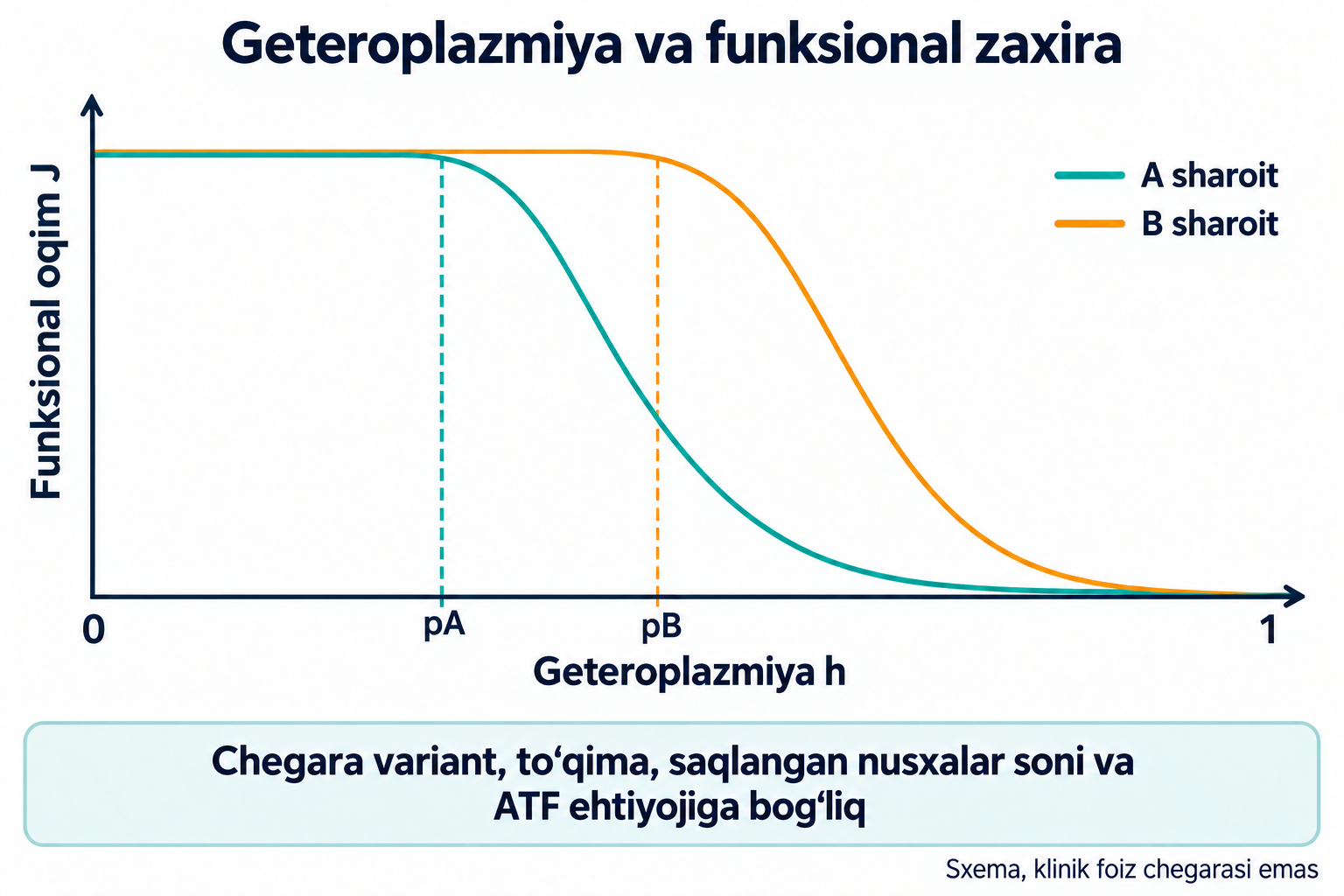 Geteroplazmiya h bo‘yicha sxematik J oqimi, A/B sharoit va pA/pB. Chegara variant, to‘qima, butun nusxa va ATF ehtiyojiga bog‘liq; klinik foiz emas.