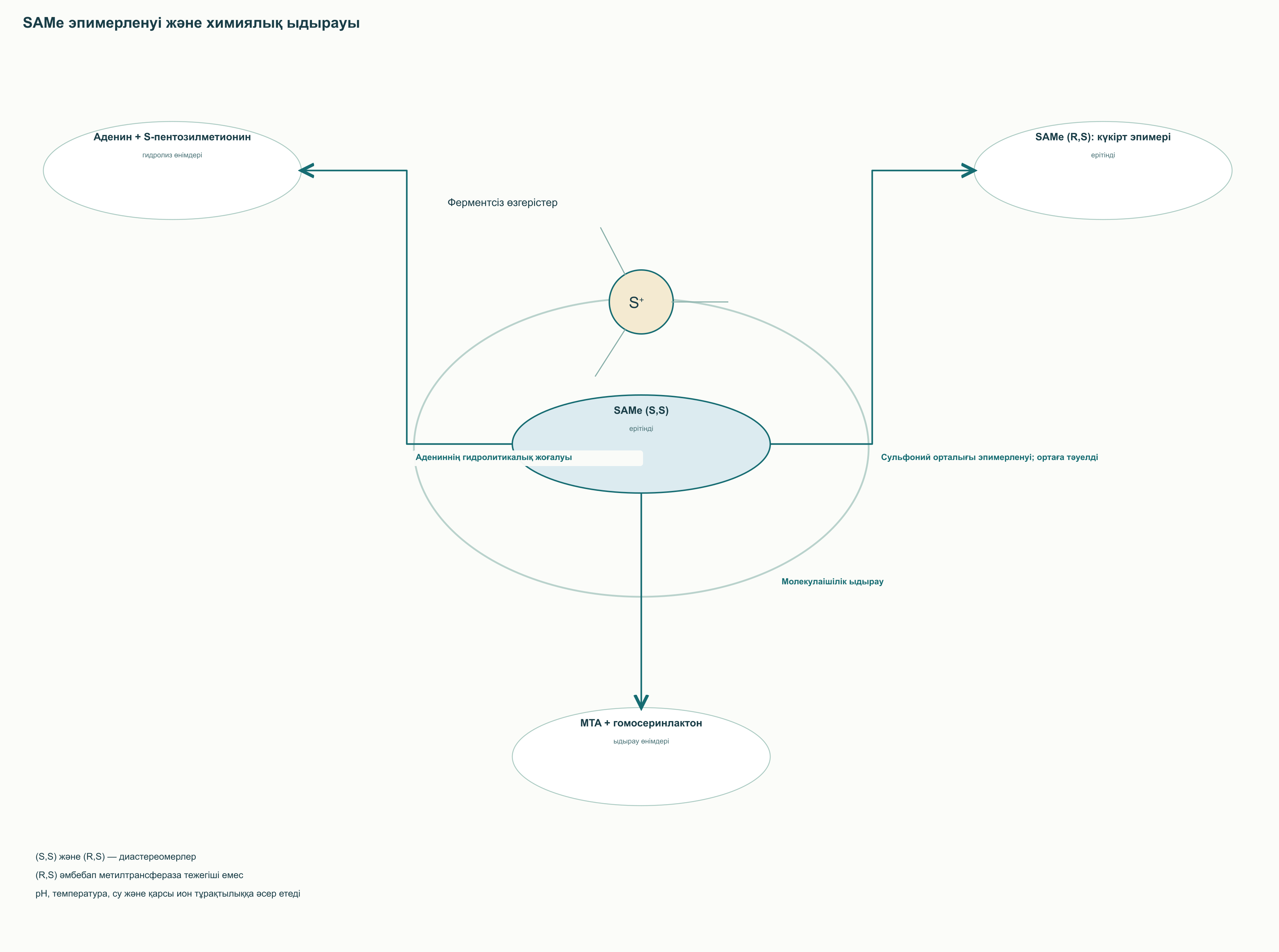 SAMe (S,S) үш ферментсіз өзгерісі: (R,S) эпимерленуі, MTA/гомосеринлактон, аденин жоғалуы.