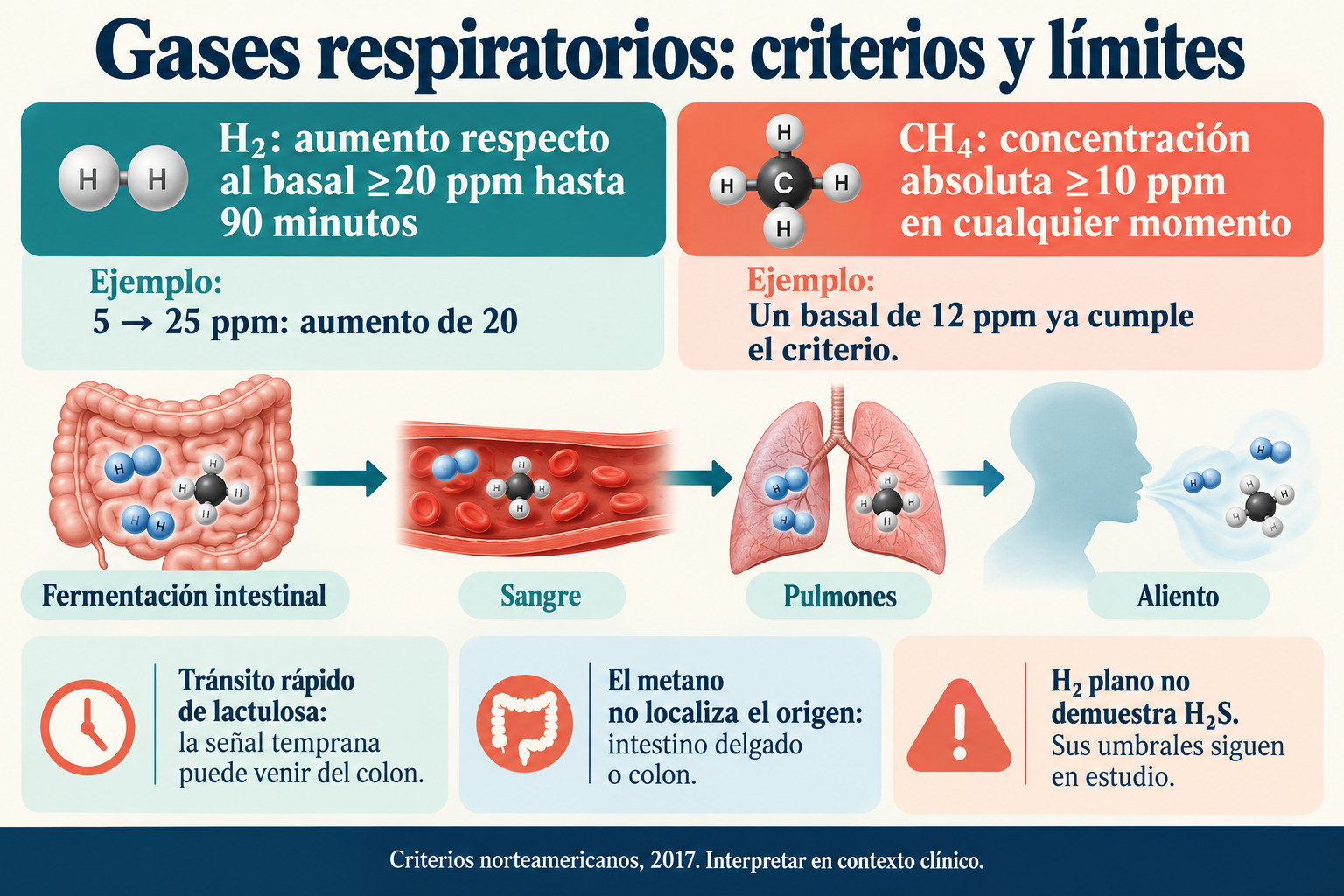 Aumento de H₂ desde el basal, CH₄ absoluto, recorrido del gas y límites de localización.