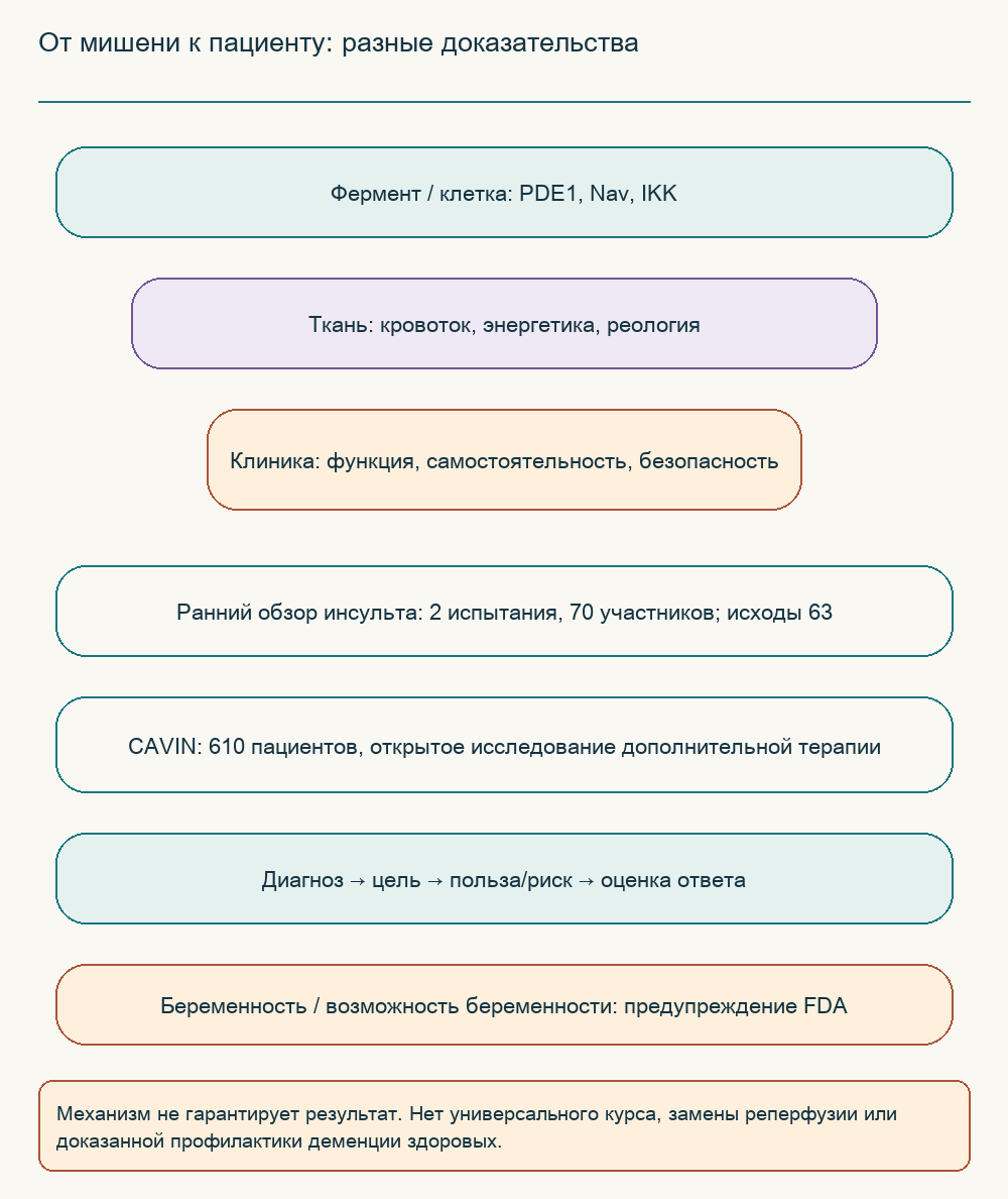 От мишени к пациенту: разные доказательства