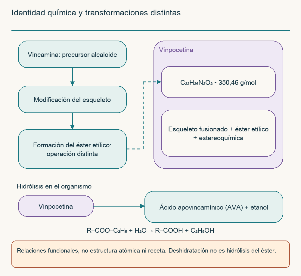 Identidad química y transformaciones distintas