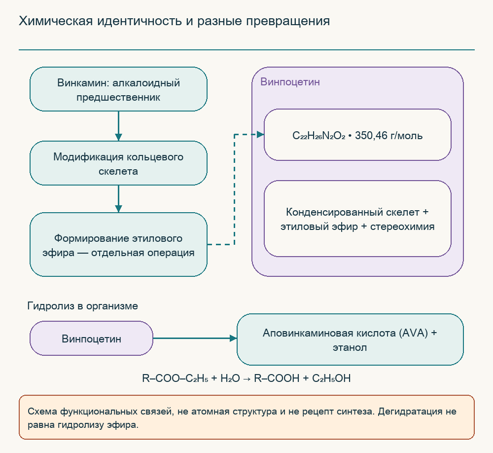 Химическая идентичность и разные превращения