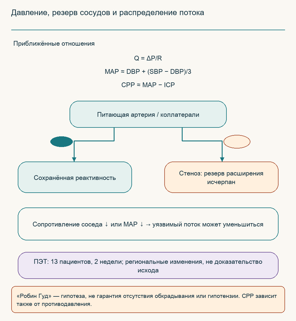 Давление, резерв сосудов и распределение потока