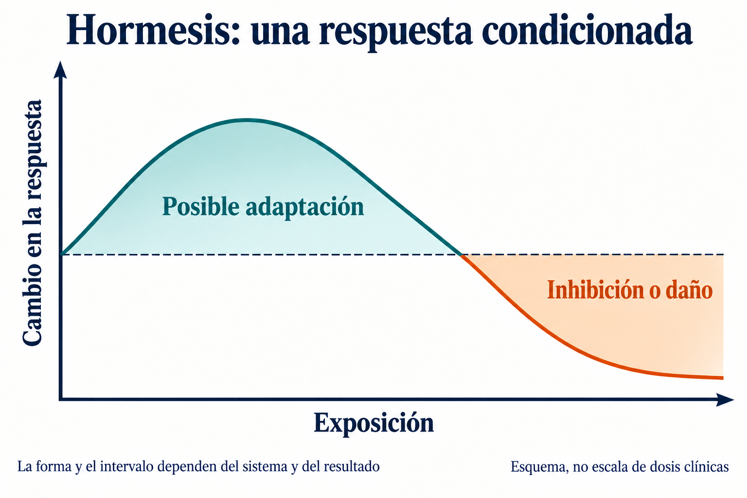 Curva bifásica condicionada: posible adaptación seguida de inhibición o daño. Forma dependiente del sistema y resultado, sin límites de dosis clínicas.