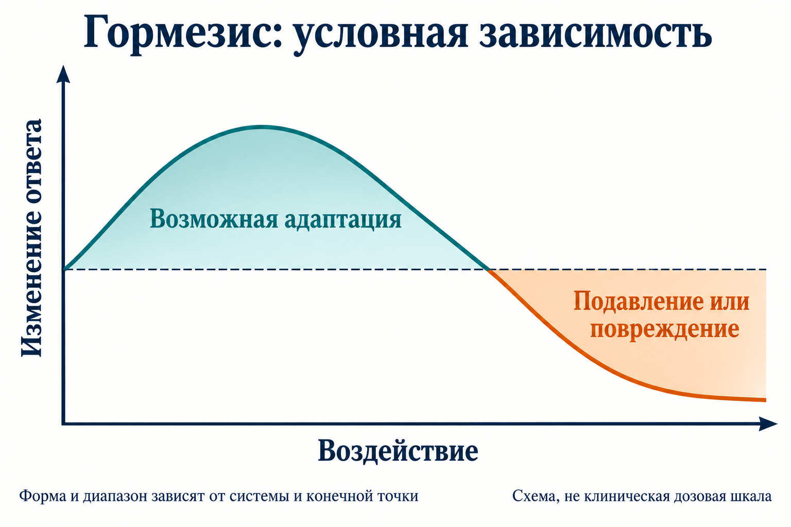 Условная двухфазная кривая: возможная адаптация сменяется подавлением или повреждением. Форма зависит от системы и конечной точки; клинических дозовых границ нет.
