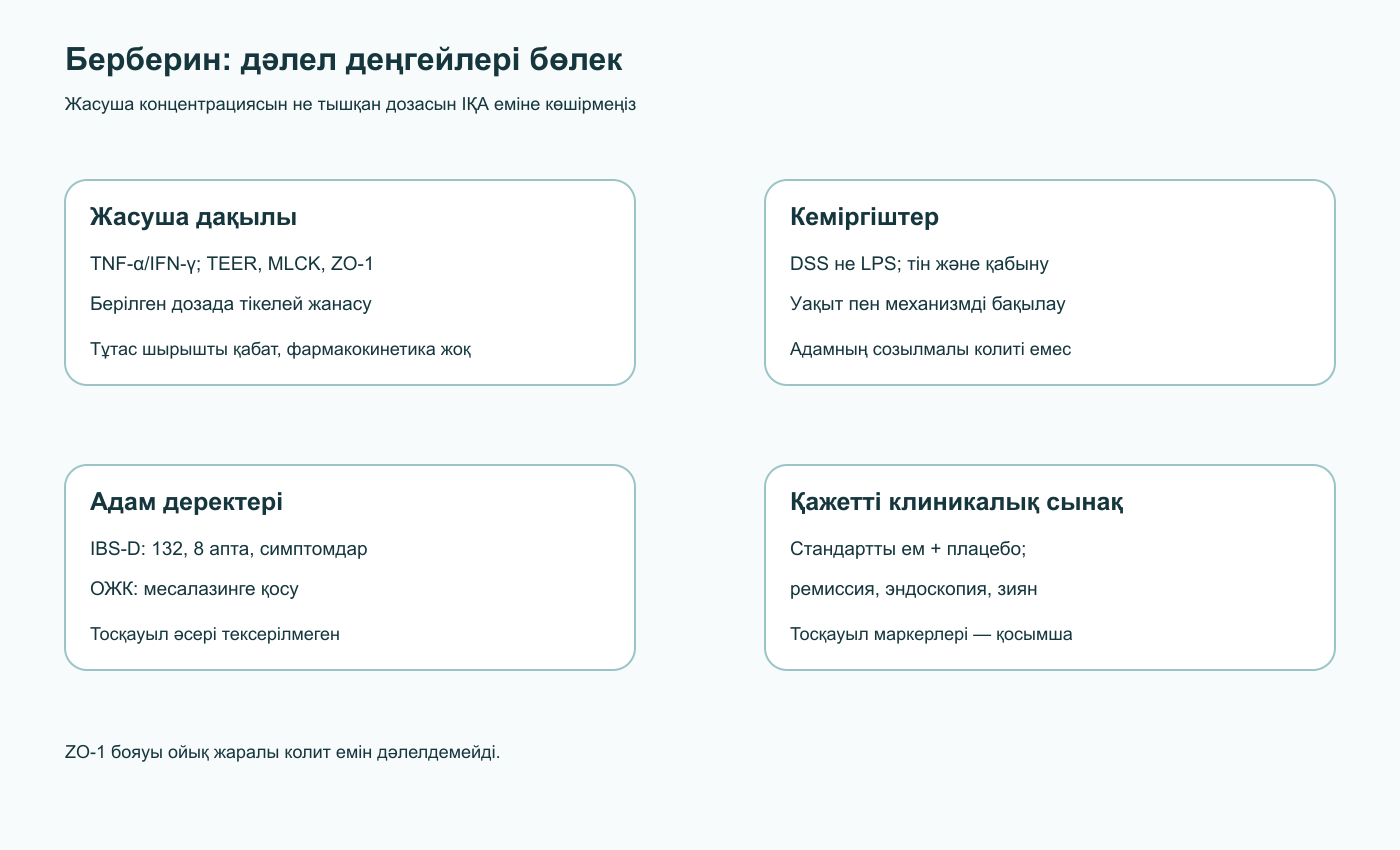 Берберин туралы дәлелдің төрт деңгейі: жасуша дақылы, кеміргіш тәжірибелері, IBS-D симптомдары және ойық жаралы колитте месалазинмен біріктіру туралы адам деректері, клиникалық нәтижесі бар қажетті сынақ.