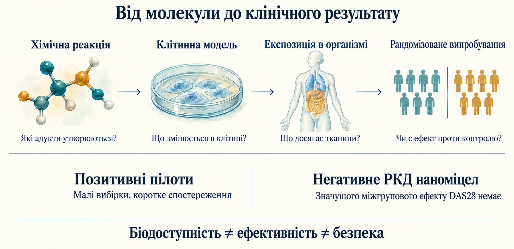 Від хімії до клінічного випробування: експозиція, малі позитивні пілоти й негативне наноміцелярне випробування; біодоступність, ефективність і безпека відрізняються.
