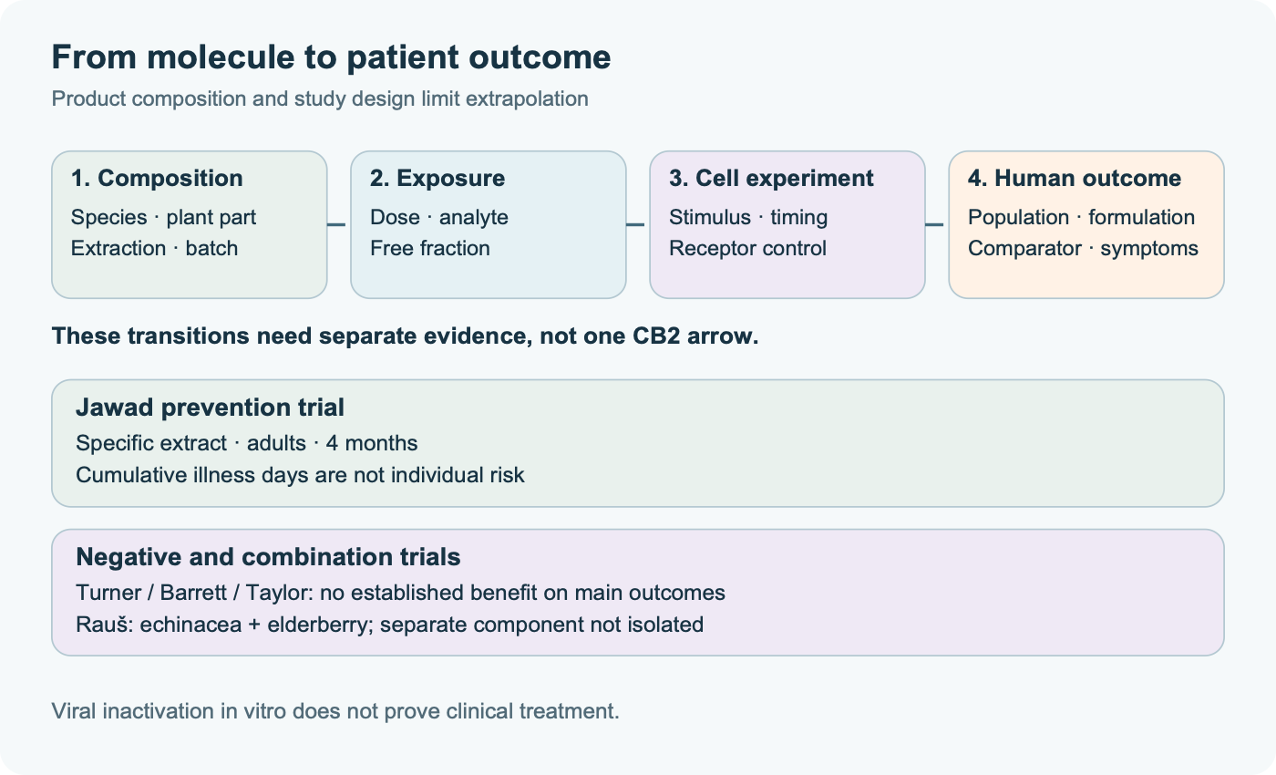 The evidence path from extract composition through exposure and cell experiments to human outcomes, followed by the specific Jawad prevention trial and negative or combination trials; each transition requires separate evidence.
