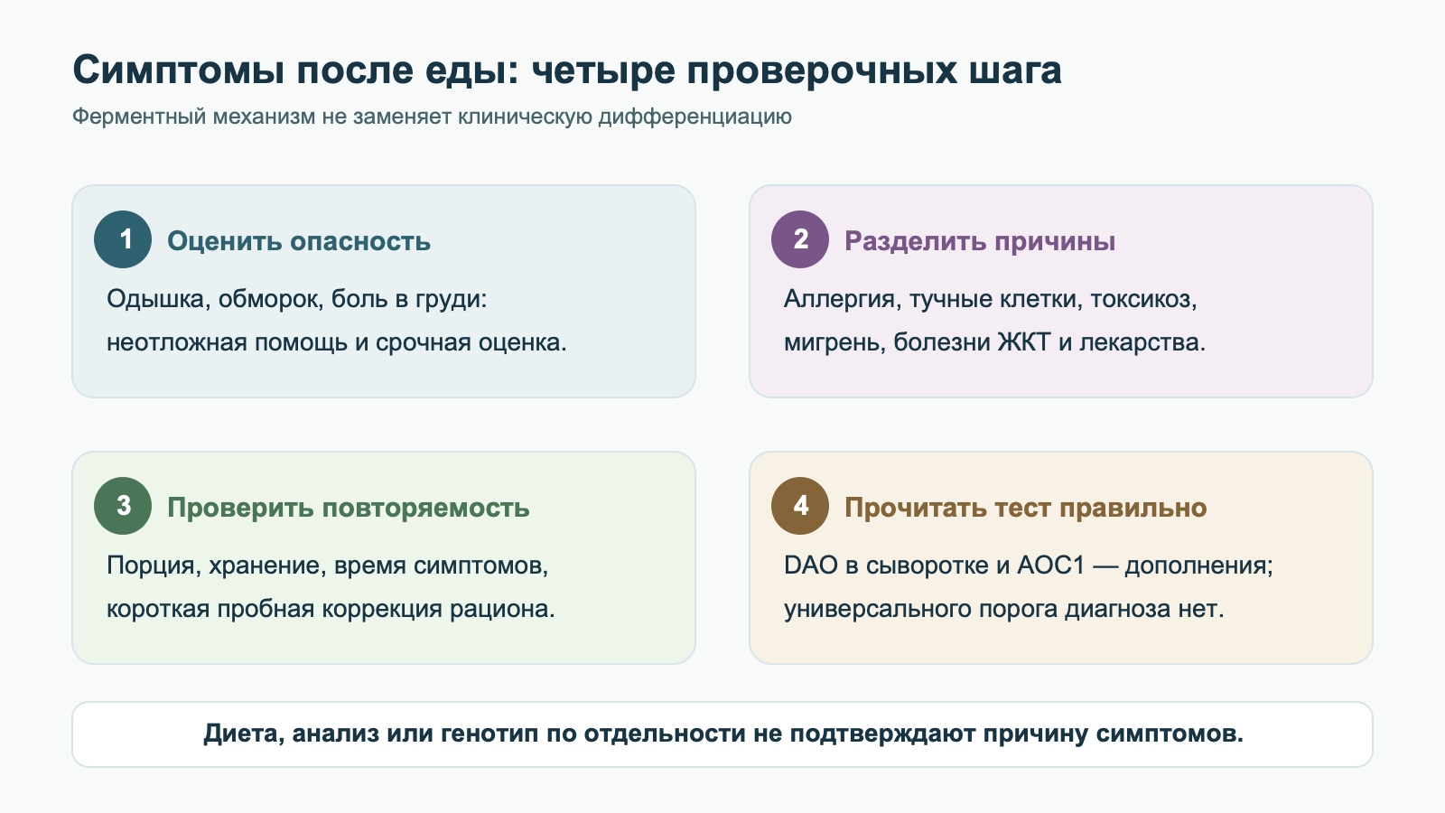 Четыре пронумерованных блока для симптомов после еды: оценить опасность, разделить аллергию и другие причины, проверить повторяемость по порции и хранению, осторожно интерпретировать DAO и AOC1. Нижняя подпись напоминает, что ни диета, ни отдельный анализ не доказывают причину.