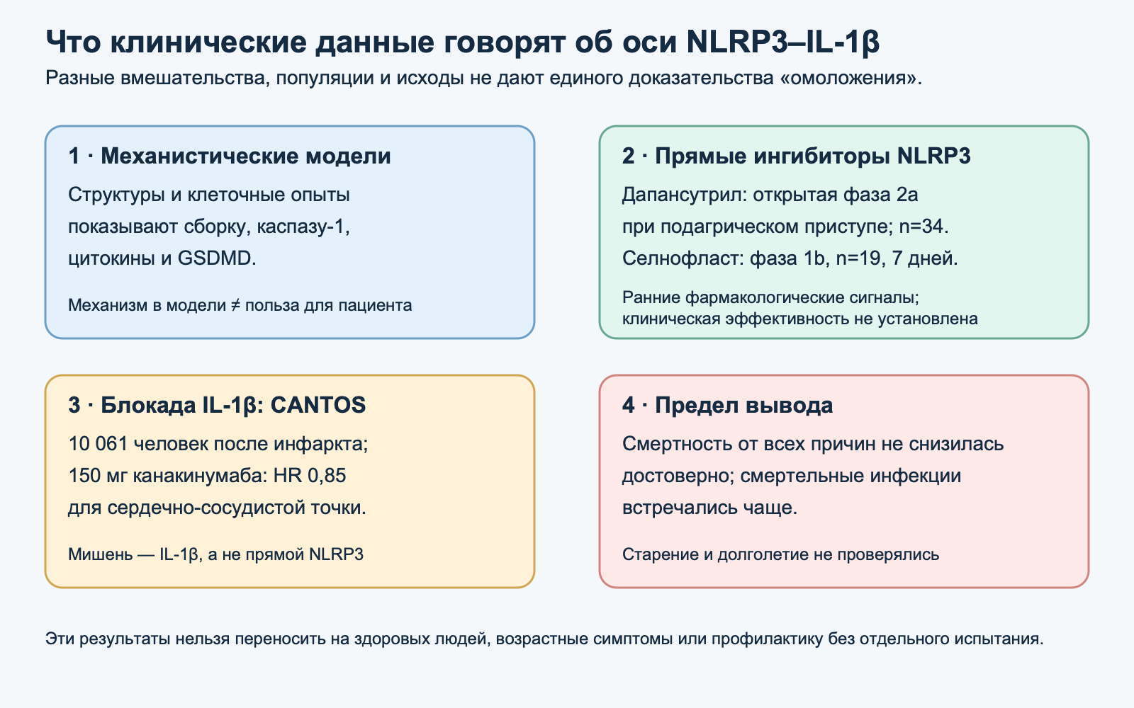 Сравнение механистических моделей, ранних клинических исследований прямых ингибиторов NLRP3 и блокады IL-1β в CANTOS с указанием ограничений и отсутствия данных об омоложении.